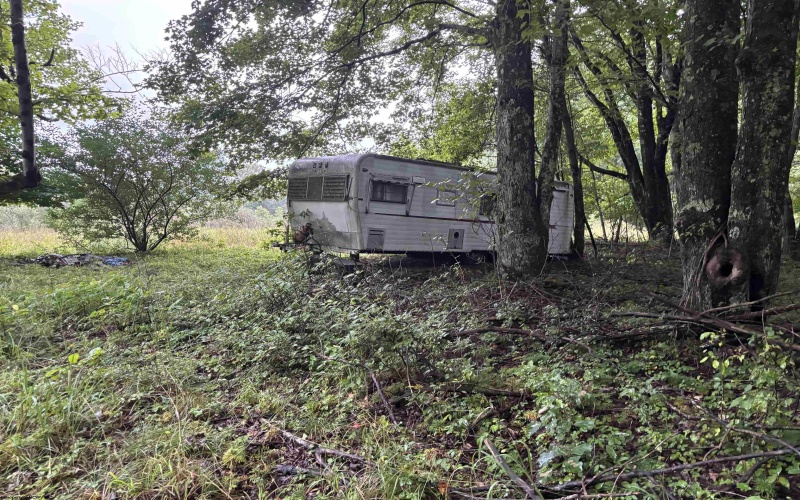 96 Donnie Hill Road, Belington, West Virginia 26250, 0 , 0 ,0,Lots/land,For Sale,Donnie Hill,0,10166450