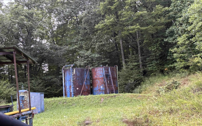 96 Donnie Hill Road, Belington, West Virginia 26250, 0 , 0 ,0,Lots/land,For Sale,Donnie Hill,0,10166450