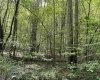 96 Donnie Hill Road, Belington, West Virginia 26250, 0 , 0 ,0,Lots/land,For Sale,Donnie Hill,0,10166450