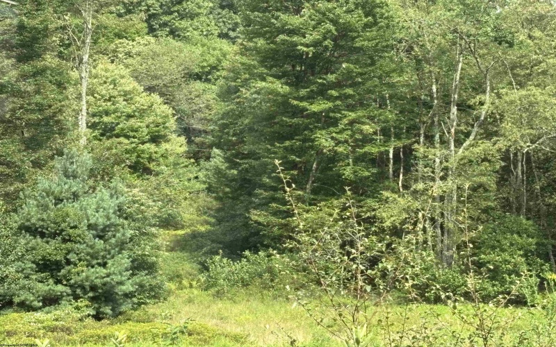 96 Donnie Hill Road, Belington, West Virginia 26250, 0 , 0 ,0,Lots/land,For Sale,Donnie Hill,0,10166450