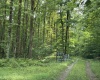 96 Donnie Hill Road, Belington, West Virginia 26250, 0 , 0 ,0,Lots/land,For Sale,Donnie Hill,0,10166450