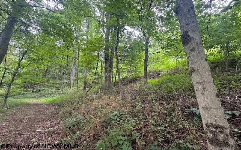 1683 Range Road, Wadestown, West Virginia 26590, 3 Bedrooms Bedrooms, 7 Rooms Rooms,3 BathroomsBathrooms,Single Family Detached,For Sale,Range,0,10166448