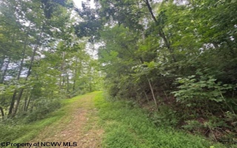 1683 Range Road, Wadestown, West Virginia 26590, 3 Bedrooms Bedrooms, 7 Rooms Rooms,3 BathroomsBathrooms,Single Family Detached,For Sale,Range,0,10166448