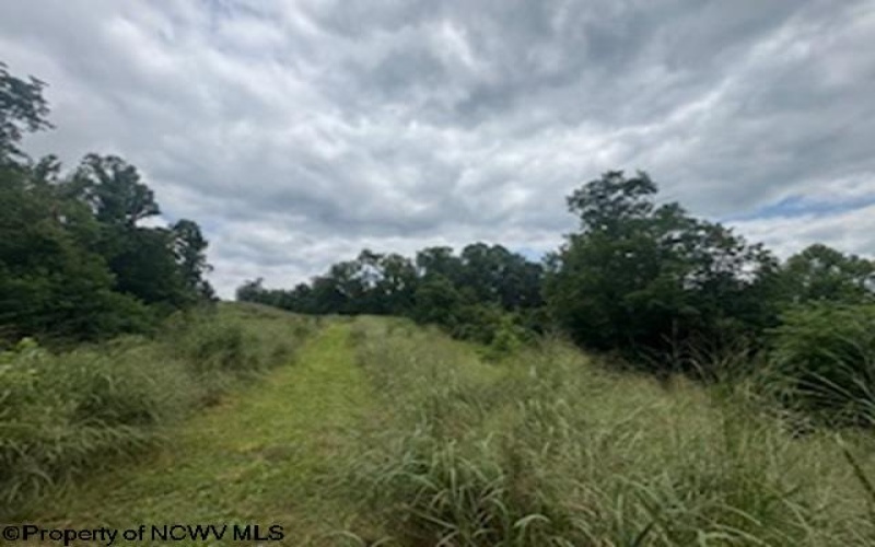 1683 Range Road, Wadestown, West Virginia 26590, 3 Bedrooms Bedrooms, 7 Rooms Rooms,3 BathroomsBathrooms,Single Family Detached,For Sale,Range,0,10166448