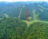 1683 Range Road, Wadestown, West Virginia 26590, 3 Bedrooms Bedrooms, 7 Rooms Rooms,3 BathroomsBathrooms,Single Family Detached,For Sale,Range,0,10166448