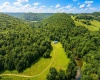 1258 Long Run, Ellamore, West Virginia 26267, 3 Bedrooms Bedrooms, 6 Rooms Rooms,2 BathroomsBathrooms,Single Family Detached,For Sale,Long,0,10166455