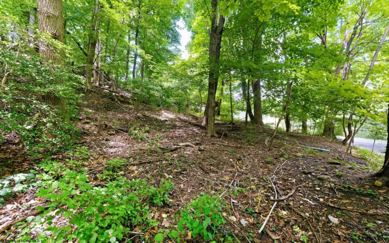 TBD DES MOINES Avenue, Morgantown, West Virginia 26505, 0 , 0 ,0,Lots/land,For Sale,DES MOINES,0,10166461 TBD DES MOINES Avenue, Morgantown, West Virginia 26505, 0 , 0 ,0,Lots/land,For Sale,DES MOINES,0,10166461