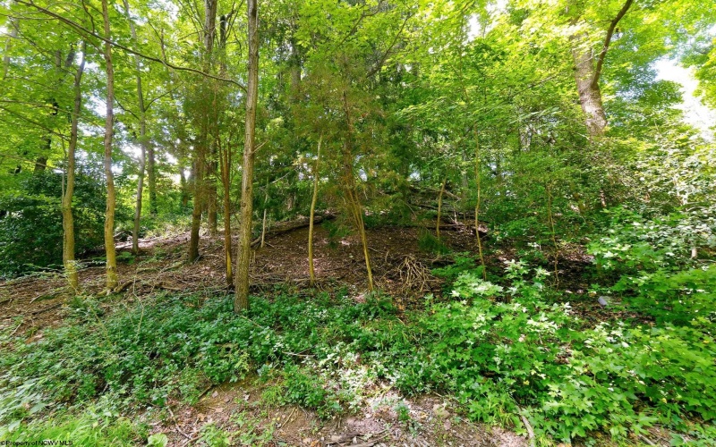TBD DES MOINES Avenue, Morgantown, West Virginia 26505, 0 , 0 ,0,Lots/land,For Sale,DES MOINES,0,10166461 TBD DES MOINES Avenue, Morgantown, West Virginia 26505, 0 , 0 ,0,Lots/land,For Sale,DES MOINES,0,10166461