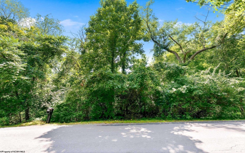 TBD Hampton Avenue, Morgantown, West Virginia 26505, 0 , 0 ,0,Lots/land,For Sale,Hampton,0,10166460 TBD Hampton Avenue, Morgantown, West Virginia 26505, 0 , 0 ,0,Lots/land,For Sale,Hampton,0,10166460