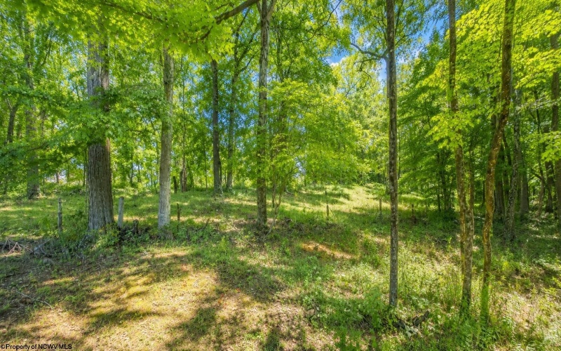 308 Diamond Cove Road, Bridgeport, West Virginia 26330, 6 Bedrooms Bedrooms, 15 Rooms Rooms,3 BathroomsBathrooms,Single Family Detached,For Sale,Diamond Cove,0,10166465