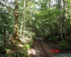 941 Sammy Run, Crawford, West Virginia 26447, 0 , 0 ,0,Lots/land,For Sale,Sammy,0,10166466