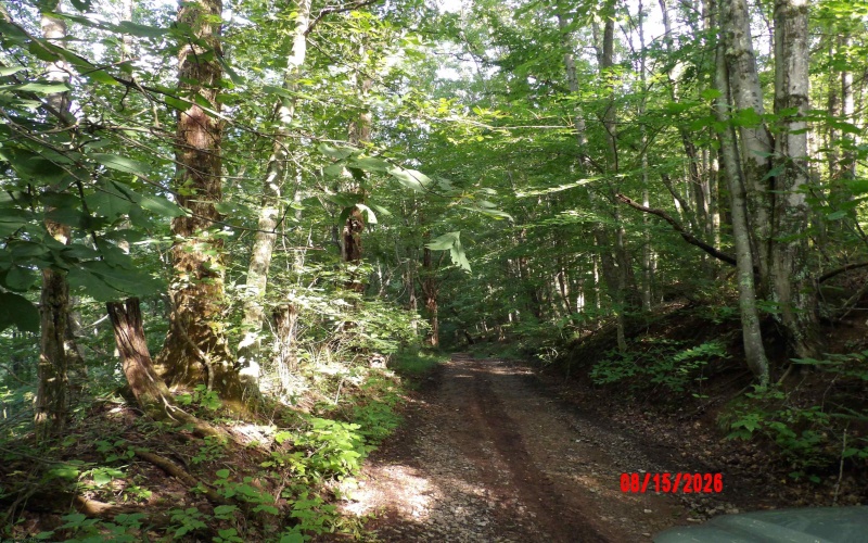 941 Sammy Run, Crawford, West Virginia 26447, 0 , 0 ,0,Lots/land,For Sale,Sammy,0,10166466