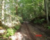 941 Sammy Run, Crawford, West Virginia 26447, 0 , 0 ,0,Lots/land,For Sale,Sammy,0,10166466