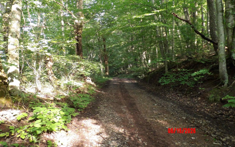 941 Sammy Run, Crawford, West Virginia 26447, 0 , 0 ,0,Lots/land,For Sale,Sammy,0,10166466