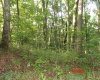 941 Sammy Run, Crawford, West Virginia 26447, 0 , 0 ,0,Lots/land,For Sale,Sammy,0,10166466