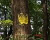 941 Sammy Run, Crawford, West Virginia 26447, 0 , 0 ,0,Lots/land,For Sale,Sammy,0,10166466