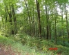 941 Sammy Run, Crawford, West Virginia 26447, 0 , 0 ,0,Lots/land,For Sale,Sammy,0,10166466