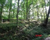 941 Sammy Run, Crawford, West Virginia 26447, 0 , 0 ,0,Lots/land,For Sale,Sammy,0,10166466