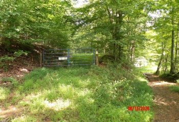 941 Sammy Run, Crawford, West Virginia 26447, 0 , 0 ,0,Lots/land,For Sale,Sammy,0,10166466