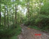941 Sammy Run, Crawford, West Virginia 26447, 0 , 0 ,0,Lots/land,For Sale,Sammy,0,10166466