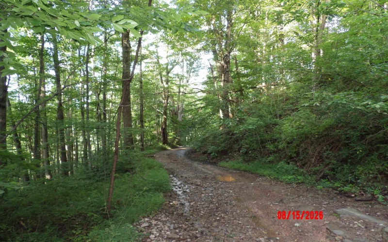 941 Sammy Run, Crawford, West Virginia 26447, 0 , 0 ,0,Lots/land,For Sale,Sammy,0,10166466