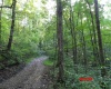 941 Sammy Run, Crawford, West Virginia 26447, 0 , 0 ,0,Lots/land,For Sale,Sammy,0,10166466