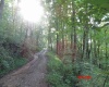 941 Sammy Run, Crawford, West Virginia 26447, 0 , 0 ,0,Lots/land,For Sale,Sammy,0,10166466