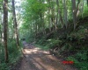 941 Sammy Run, Crawford, West Virginia 26447, 0 , 0 ,0,Lots/land,For Sale,Sammy,0,10166466