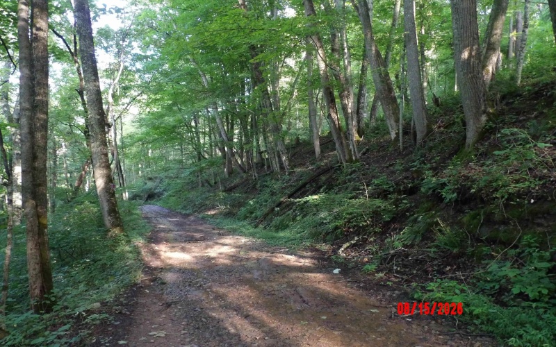 941 Sammy Run, Crawford, West Virginia 26447, 0 , 0 ,0,Lots/land,For Sale,Sammy,0,10166466