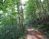 941 Sammy Run, Crawford, West Virginia 26447, 0 , 0 ,0,Lots/land,For Sale,Sammy,0,10166466