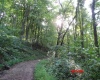 941 Sammy Run, Crawford, West Virginia 26447, 0 , 0 ,0,Lots/land,For Sale,Sammy,0,10166466