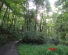 941 Sammy Run, Crawford, West Virginia 26447, 0 , 0 ,0,Lots/land,For Sale,Sammy,0,10166466