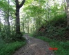 941 Sammy Run, Crawford, West Virginia 26447, 0 , 0 ,0,Lots/land,For Sale,Sammy,0,10166466
