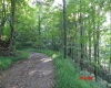 941 Sammy Run, Crawford, West Virginia 26447, 0 , 0 ,0,Lots/land,For Sale,Sammy,0,10166466