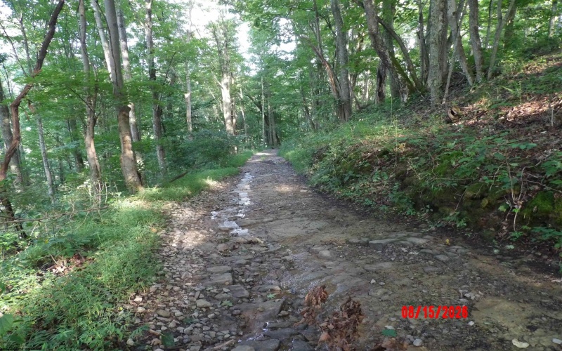 941 Sammy Run, Crawford, West Virginia 26447, 0 , 0 ,0,Lots/land,For Sale,Sammy,0,10166466