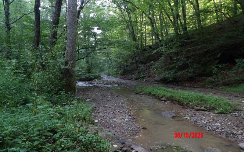 941 Sammy Run, Crawford, West Virginia 26447, 0 , 0 ,0,Lots/land,For Sale,Sammy,0,10166466
