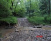 941 Sammy Run, Crawford, West Virginia 26447, 0 , 0 ,0,Lots/land,For Sale,Sammy,0,10166466