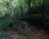 941 Sammy Run, Crawford, West Virginia 26447, 0 , 0 ,0,Lots/land,For Sale,Sammy,0,10166466