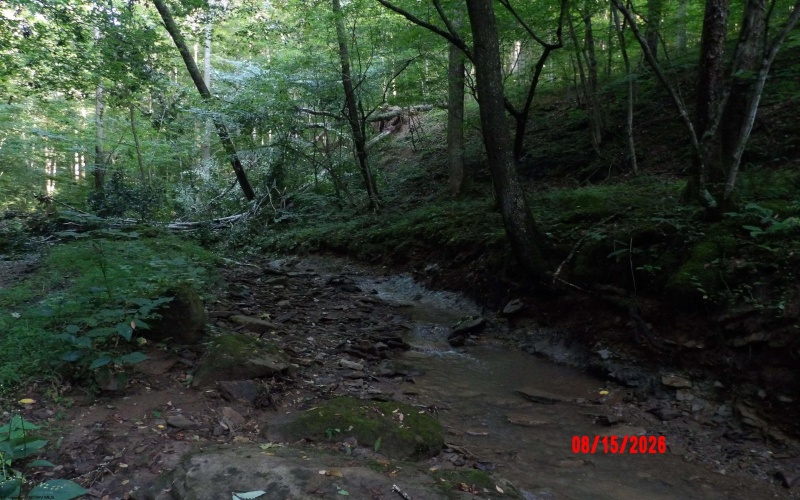 941 Sammy Run, Crawford, West Virginia 26447, 0 , 0 ,0,Lots/land,For Sale,Sammy,0,10166466