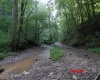 941 Sammy Run, Crawford, West Virginia 26447, 0 , 0 ,0,Lots/land,For Sale,Sammy,0,10166466