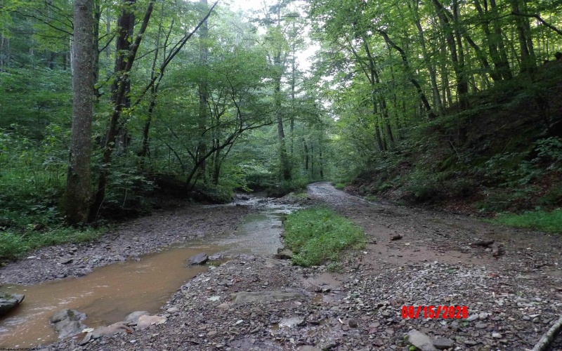 941 Sammy Run, Crawford, West Virginia 26447, 0 , 0 ,0,Lots/land,For Sale,Sammy,0,10166466