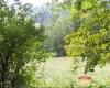 941 Sammy Run, Crawford, West Virginia 26447, 0 , 0 ,0,Lots/land,For Sale,Sammy,0,10166466