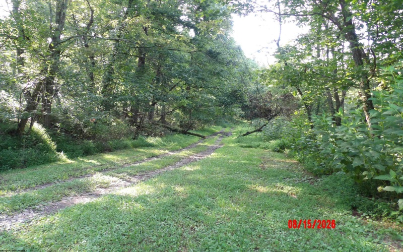 941 Sammy Run, Crawford, West Virginia 26447, 0 , 0 ,0,Lots/land,For Sale,Sammy,0,10166466