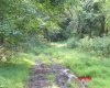 941 Sammy Run, Crawford, West Virginia 26447, 0 , 0 ,0,Lots/land,For Sale,Sammy,0,10166466