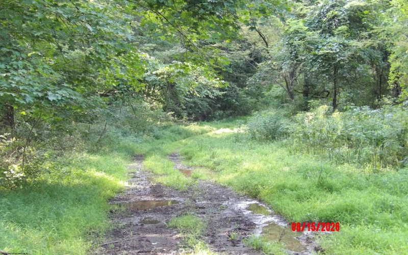 941 Sammy Run, Crawford, West Virginia 26447, 0 , 0 ,0,Lots/land,For Sale,Sammy,0,10166466