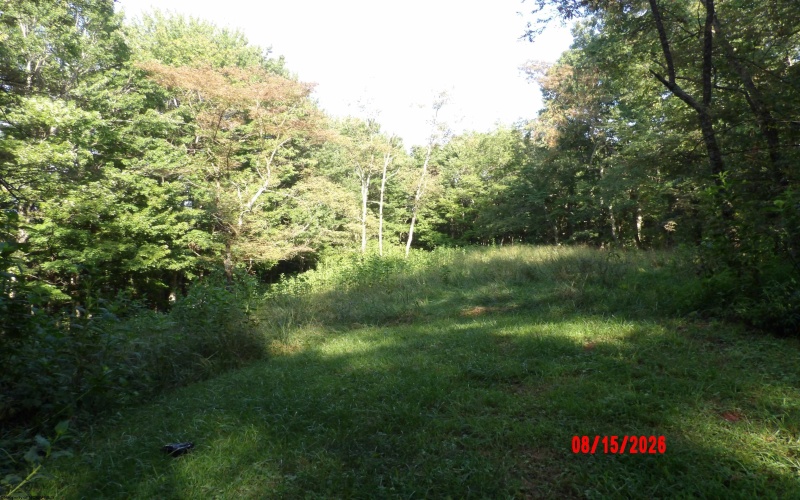 941 Sammy Run, Crawford, West Virginia 26447, 0 , 0 ,0,Lots/land,For Sale,Sammy,0,10166466