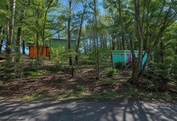 142 Jacob Pace Street, Thomas, West Virginia 26292, 0 , 0 ,0,Multi-unit/income,For Sale,Jacob Pace,0,10163347
