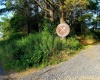 142 Jacob Pace Street, Thomas, West Virginia 26292, 0 , 0 ,0,Multi-unit/income,For Sale,Jacob Pace,0,10163347