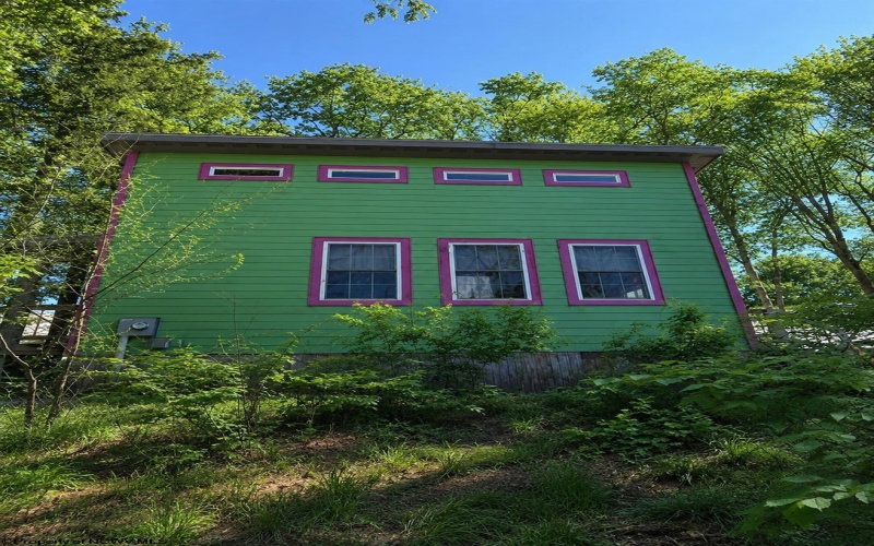 142 Jacob Pace Street, Thomas, West Virginia 26292, 0 , 0 ,0,Multi-unit/income,For Sale,Jacob Pace,0,10163347