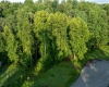 245 Coventry Drive, Bridgeport, West Virginia 26330, 0 , 0 ,0,Lots/land,For Sale,Coventry,0,10166481
